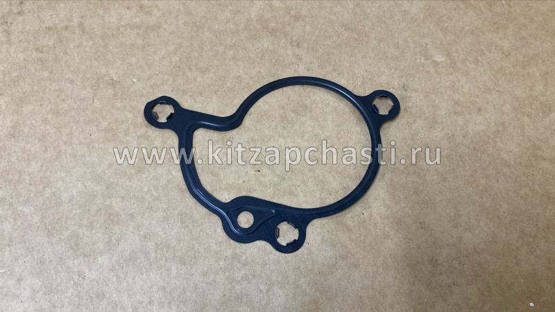 Прокладка насоса вакуумного Geely ATLAS NEW FX11-J1 1022023900