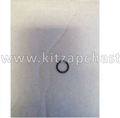 Кольцо уплотнительное гбц Geely Cityray 1025045400