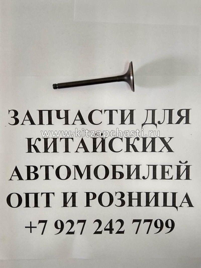Клапан впускной Livan X6 PRO 2,0 1030003100