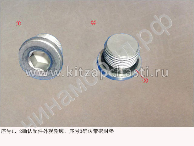Пробка сливная TANK 400 150200248