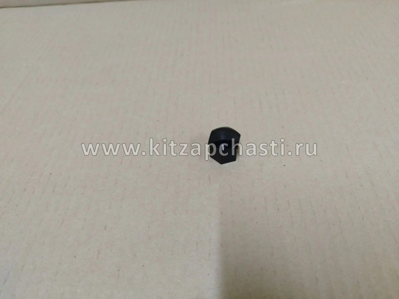 Колпачок колесного болта TENET T8 203000542AA
