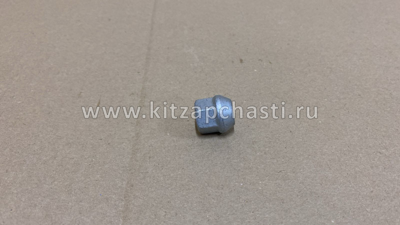 Гайка крепления колеса TANK 500 3101014XKZ1DA