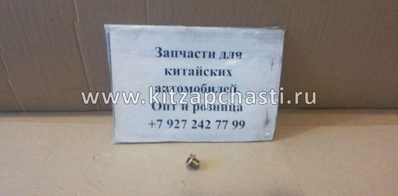 Пробка сливная EXEED VX FL 481H1002042