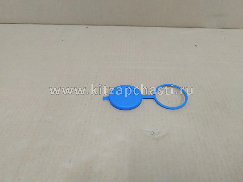 Крышка бачка омывателя EXEED TXL  607000099AA