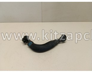 Хомут для шланга маслоотделителя Changan UNI-Z H150081900AA