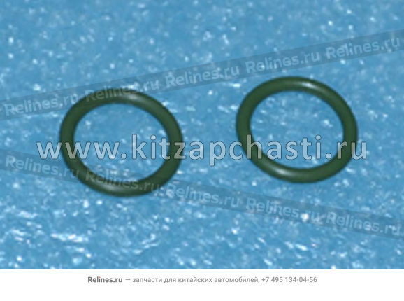 Кольцо уплотнительное испарителя кондиционера  Xcite X-Cross 8  T21-8107352